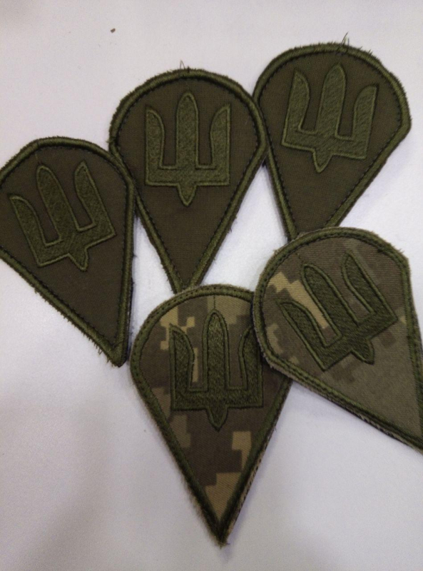Шеврон  ГЕРБ ДШВ  на оливі   та пікселі - фото