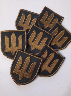 Шеврон МЕДИЧНА СЛУЖБА ЗСУ - фото