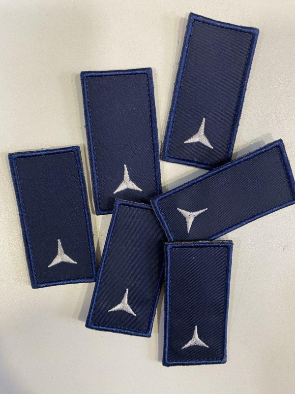 Шеврон  звання ДСНС - СЕРЖАНТ , розм.4х8(малий) - фото