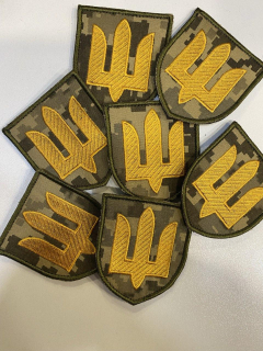 Шеврон  вишитий СУХОПУТНИХ ВІЙСЬК  ЗСУ на пікселі - фото